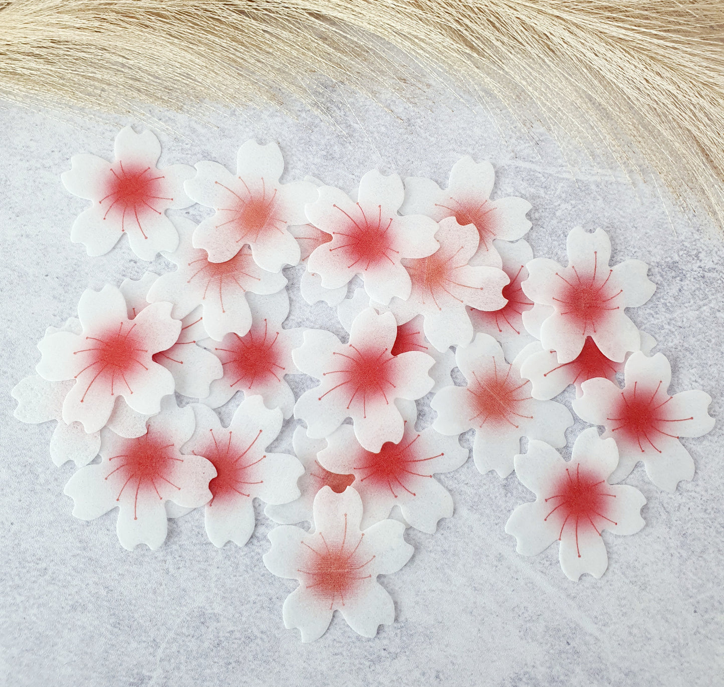 Wafer Flower Daisies