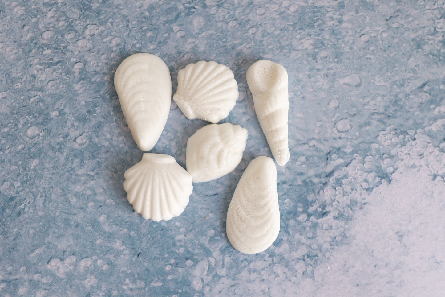 Shells ~ Set of 6