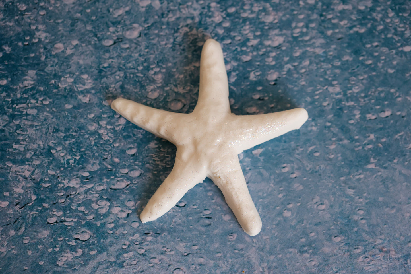 Large Sea Star