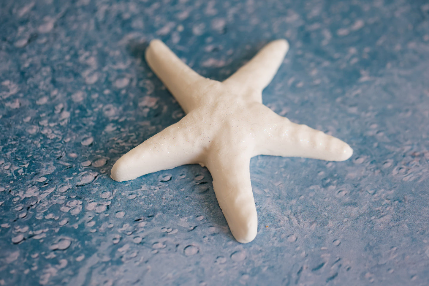 Large Sea Star