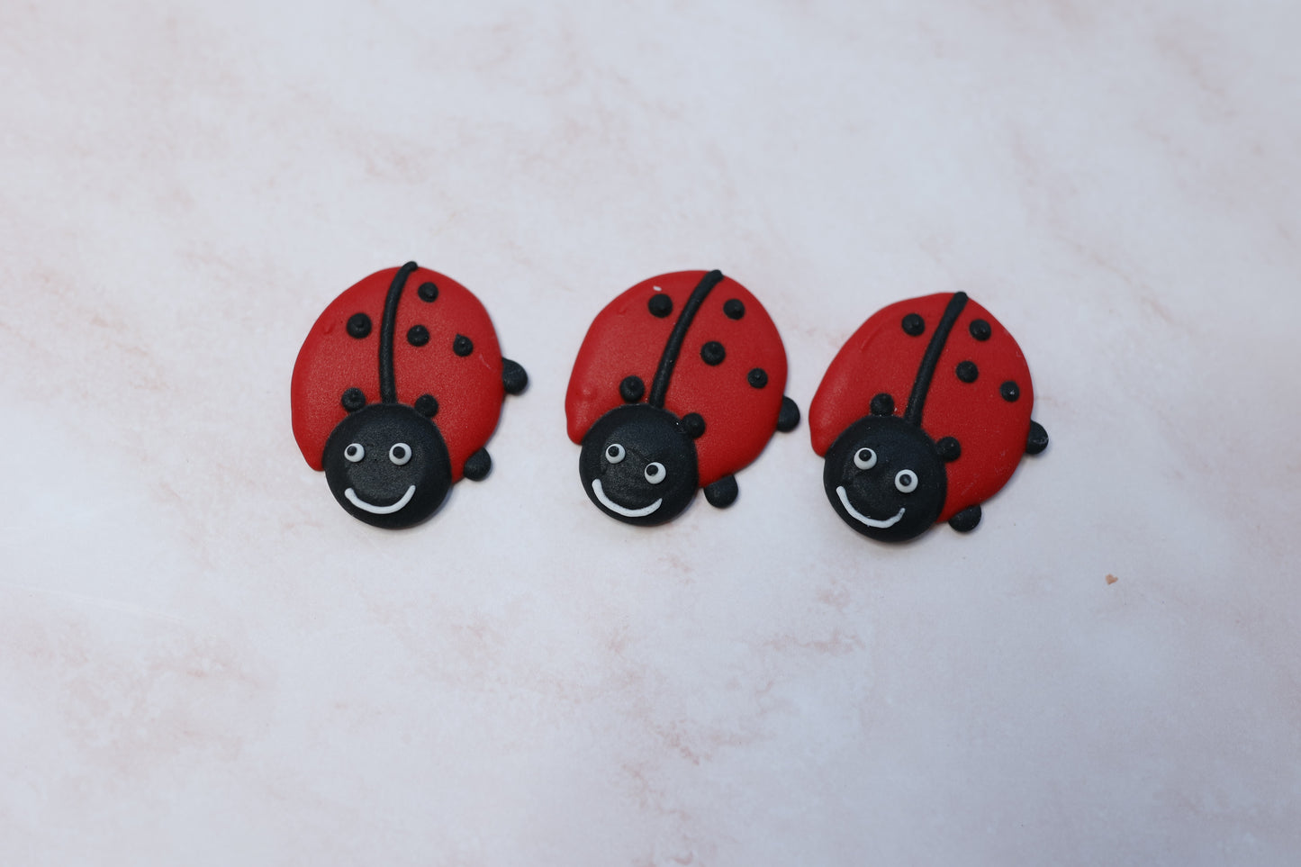 Lady Bug