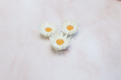 Daisy Flowers - set of 3