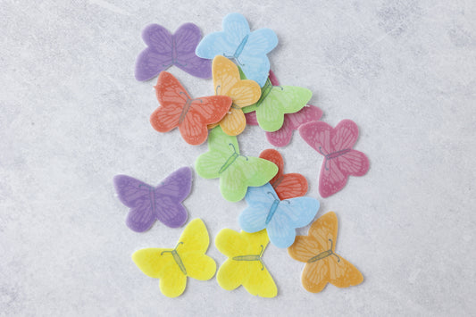 Rainbow  Butterflies