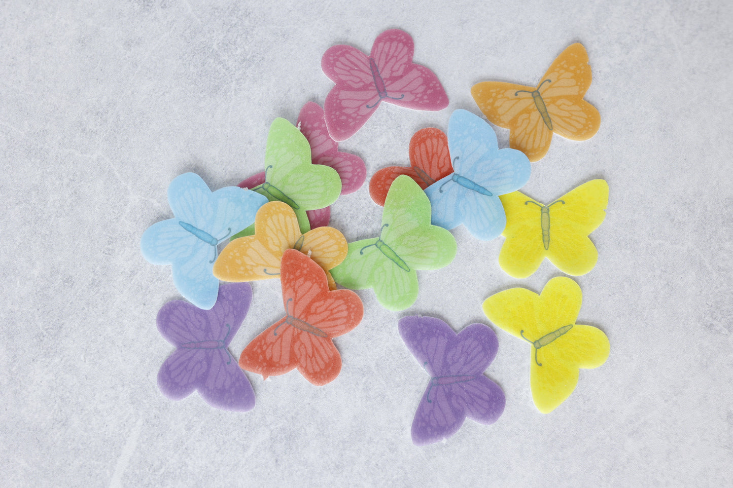 Rainbow  Butterflies