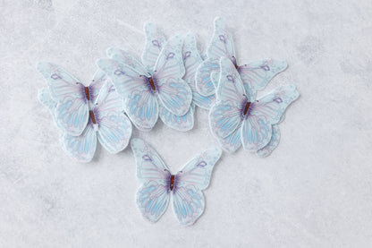 Blue Butterflies