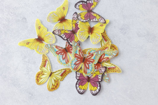 Spring Butterflies