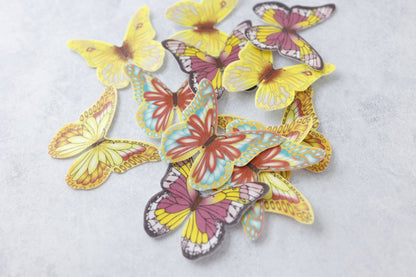 Spring Butterflies